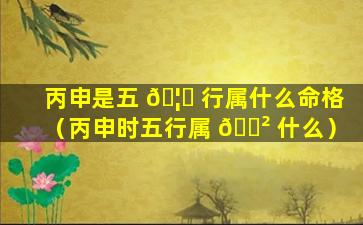丙申是五 🦉 行属什么命格（丙申时五行属 🌲 什么）